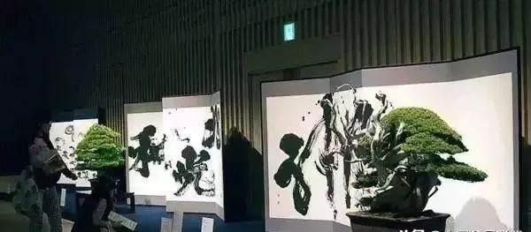 当书法遇上盆景 就变成一种艺术收藏品吧