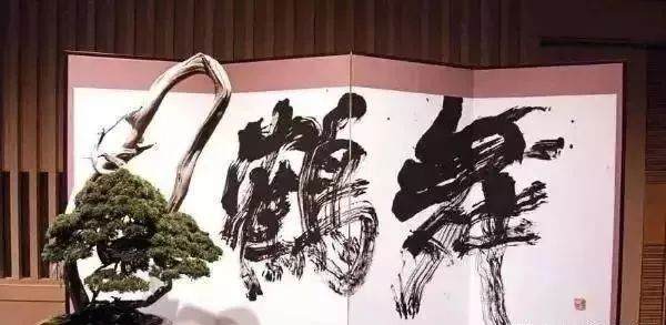 当书法遇上盆景 就变成一种艺术收藏品吧