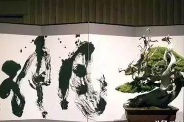 当书法遇上盆景 就变成一种艺术收藏品吧