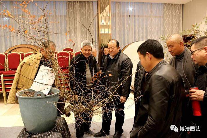 第四届浙江盆景技能操作比赛