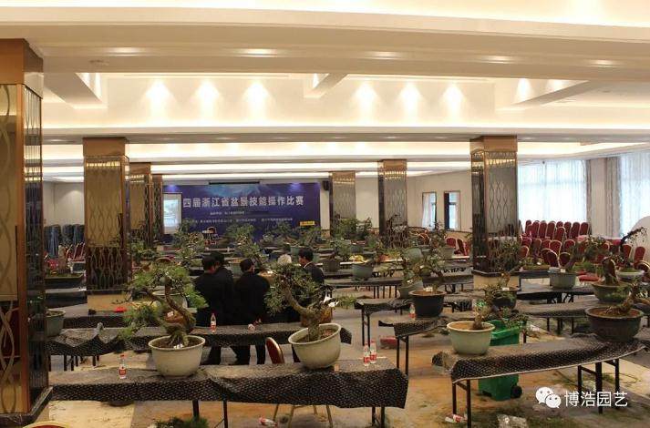 第四届浙江盆景技能操作比赛