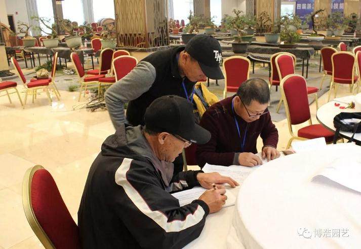 第四届浙江盆景技能操作比赛