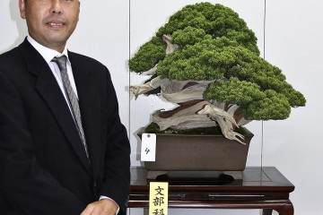 2014年 日本樱花盆景博览会