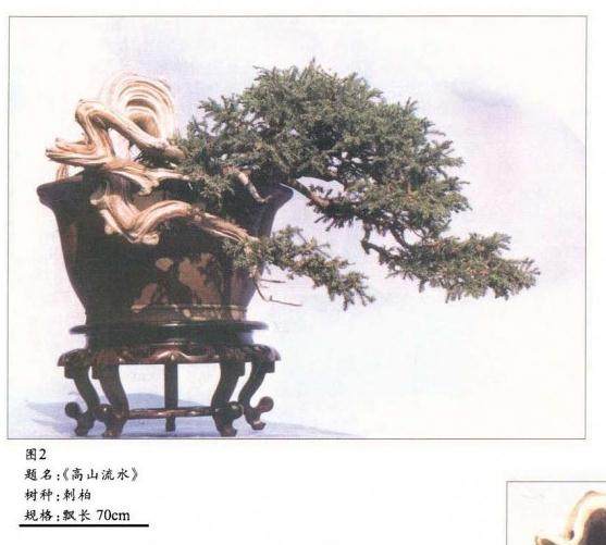 图解 王恒亮制作刺柏丝雕盆景的3个方法