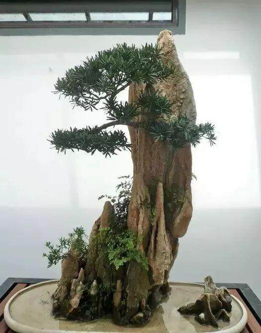 孤峰式山石盆景应如何制作?