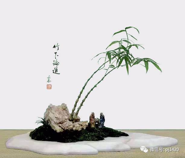 竹类有哪些适合做盆景 图片