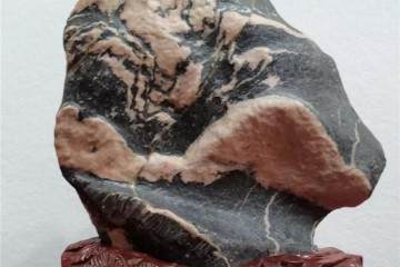 2018年 遂宁首届奇石根雕盆景博览会