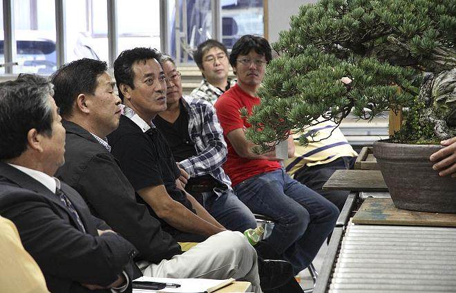 印度尼西亚举办的国际盆景双年展