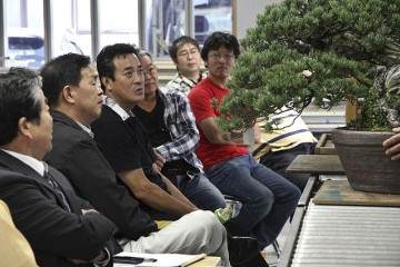 印度尼西亚举办的国际盆景双年展