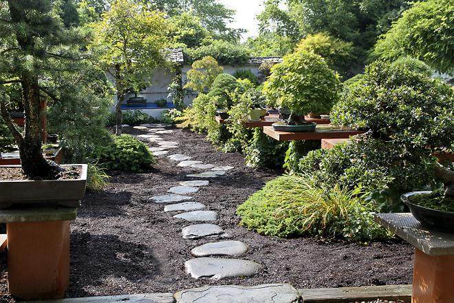 美国国家盆景展览会筹备工作继续进行