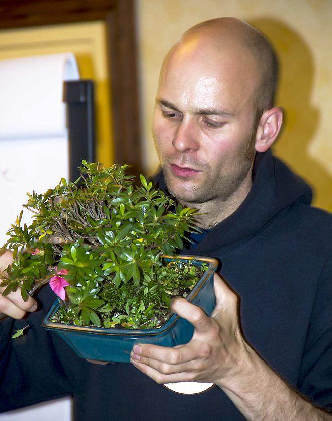 美国国家盆景展览示范计划