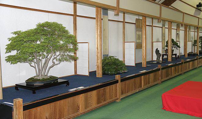 日本鹿沼市举办风雅盆景展览