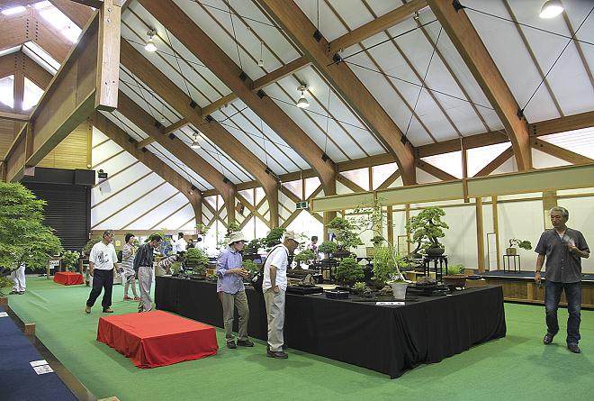 日本鹿沼市举办风雅盆景展览