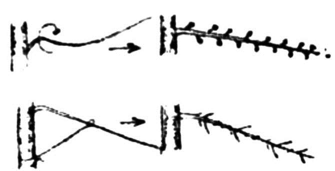 盆景的发芽修剪控法之转枝技巧