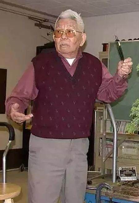 图解 老外用63年时间 制作一棵柏树盆景