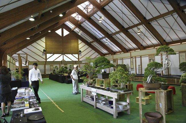 2018年 日本小月盆景之旅 - 第5部分