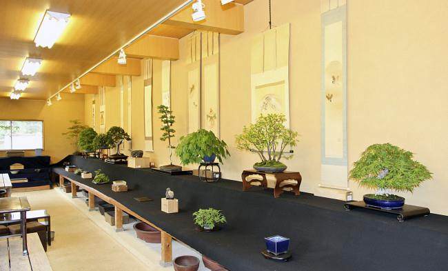 接下来 我们参观了大宫盆景艺术博物馆