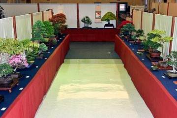 参观美国的第41届纽约州北部盆景展