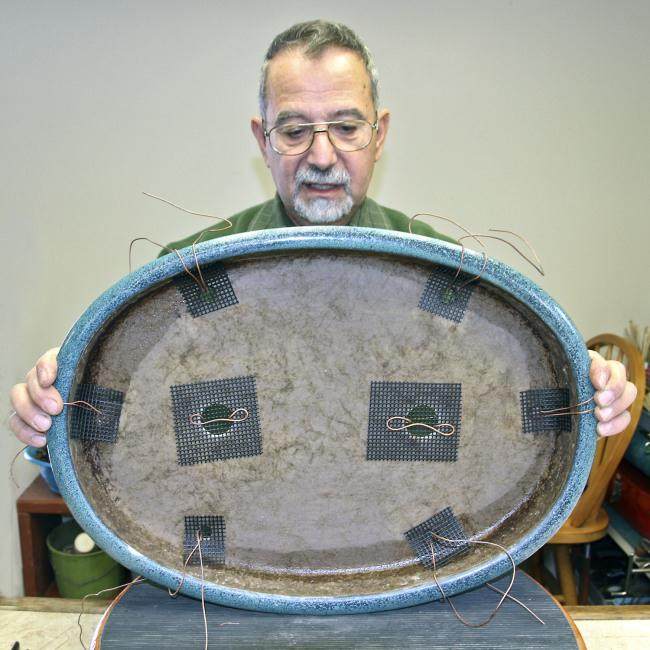 图解 怎么制作山毛榉森林盆景的34个过程