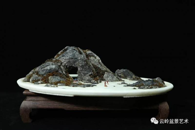深圳盆景协会副秘书长郭少波和他的盆景