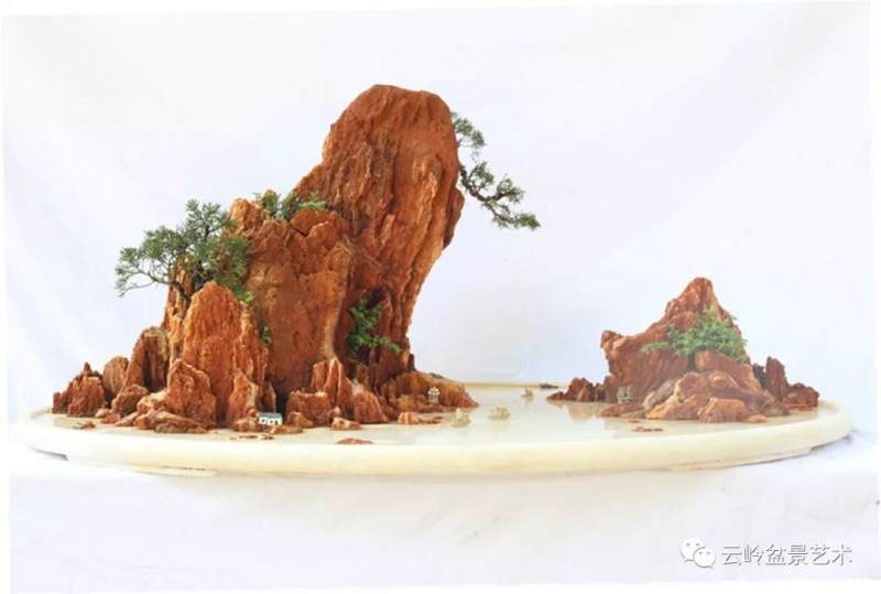深圳盆景协会副秘书长郭少波和他的盆景
