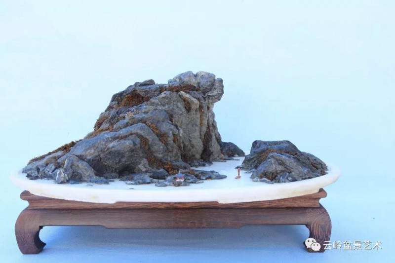 深圳盆景协会副秘书长郭少波和他的盆景