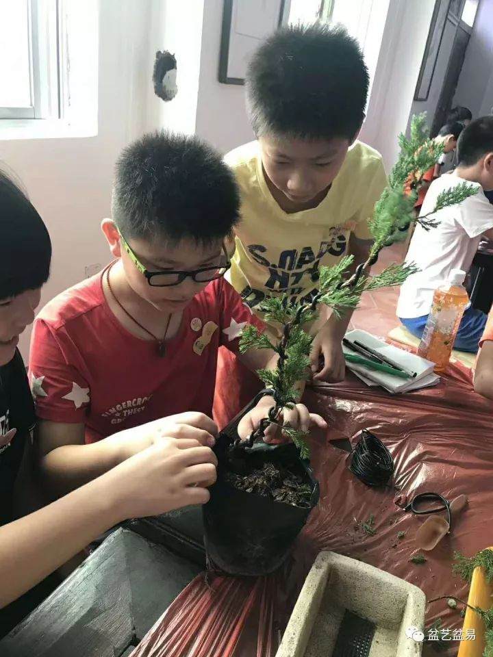 盆景制作走进广州校园!