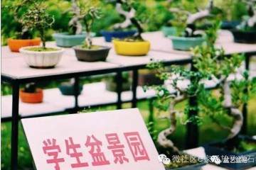 盆景制作走进广州校园