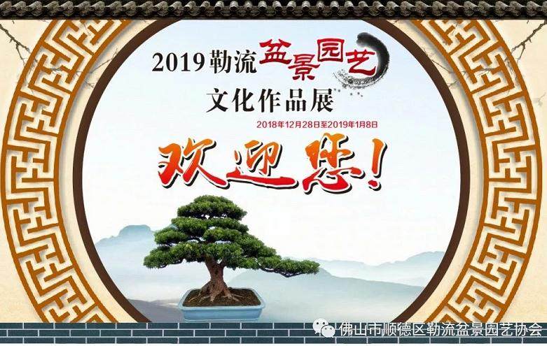 迎新年· 2019 佛山 勒流盆景园艺文化作品展