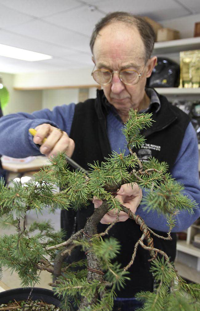 为期三天的古典盆景大师班的首次会议