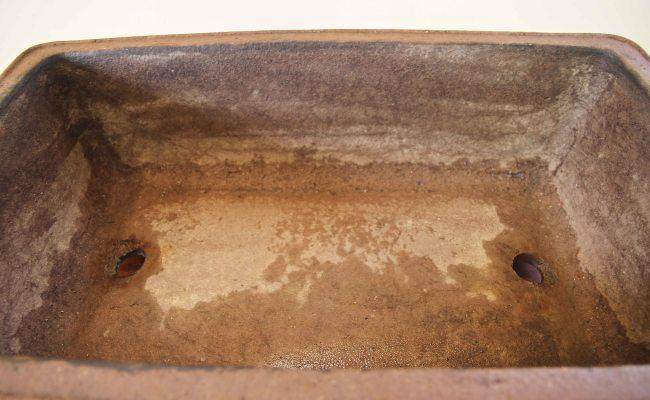 他将所有的盆景种植到他的大型园林景观中