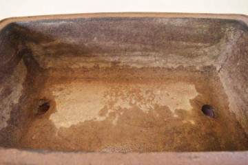 他将所有的盆景种植到他的大型园林景观中