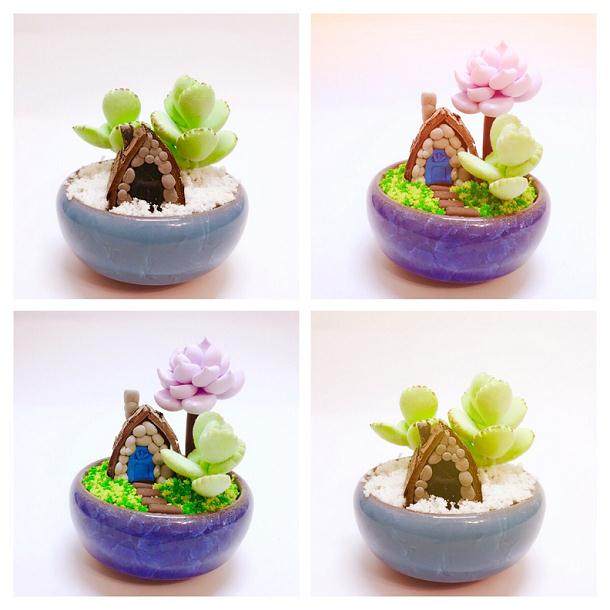 3月 上海多肉植物这个月销量较大