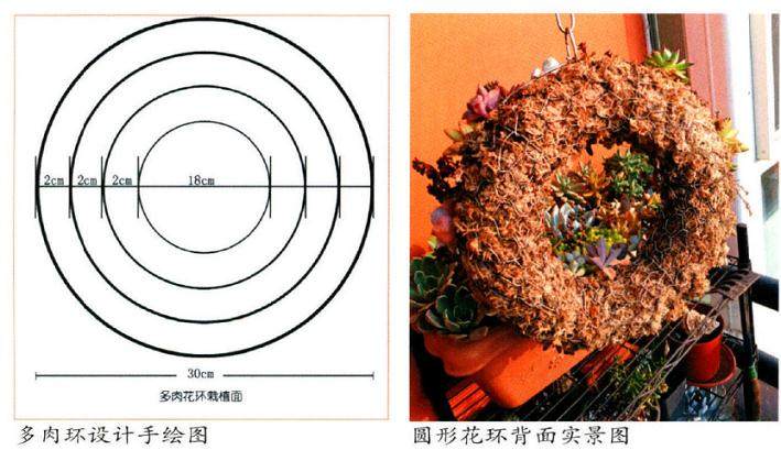 制作多肉花环的5个步骤