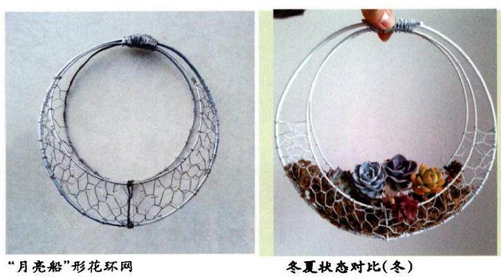 怎么制作多肉花环的5个步骤 图片