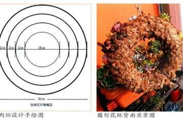 怎么制作多肉花环的5个步骤 图片