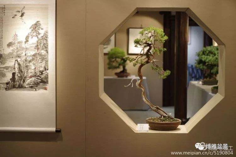 上海嘉作流芳·名士居书画盆景艺术展
