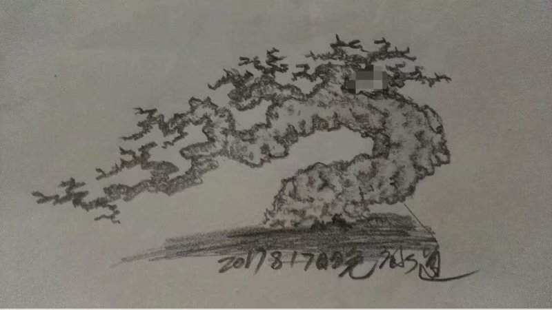 漫谈榕树盆景的可塑性