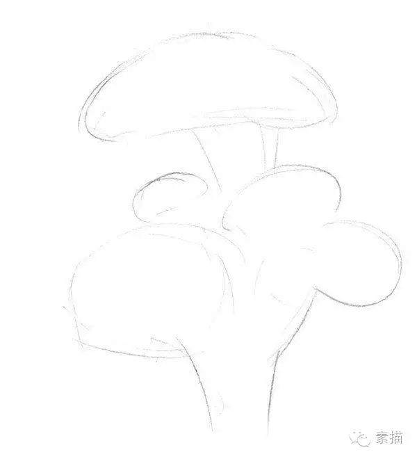 素描一棵榕树盆景的绘画技法