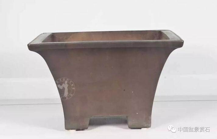 申洪良解读盆景配盆之妙处