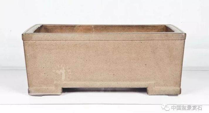 申洪良解读盆景配盆之妙处