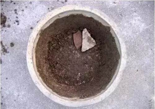 怎么给盆景翻盆换土6