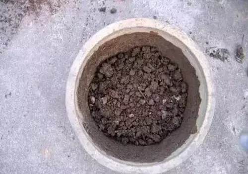 怎么给盆景翻盆换土7