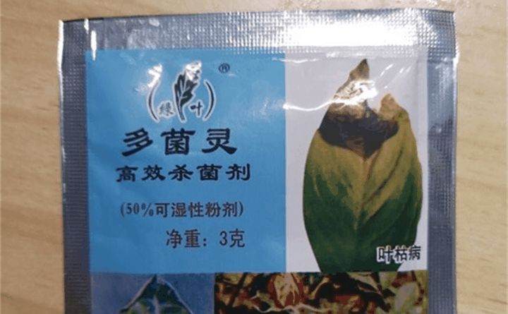 怎么三角梅盆栽明明生了根 结果一上盆就全挂了?