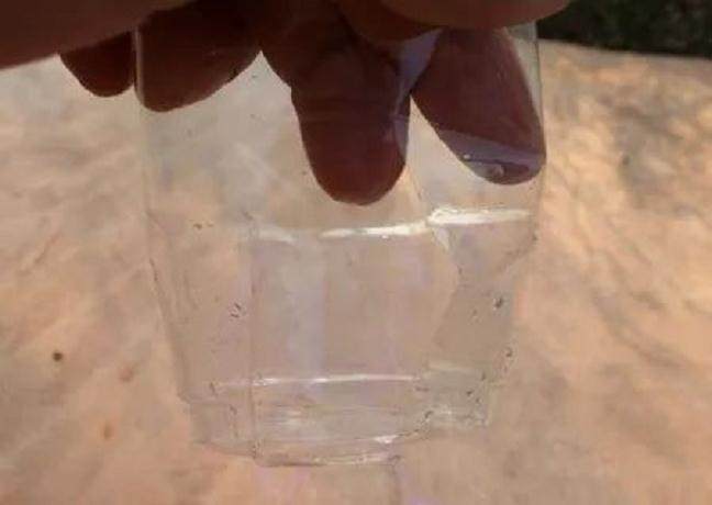 图解 月季盆栽扦插苗的上盆方法 图片