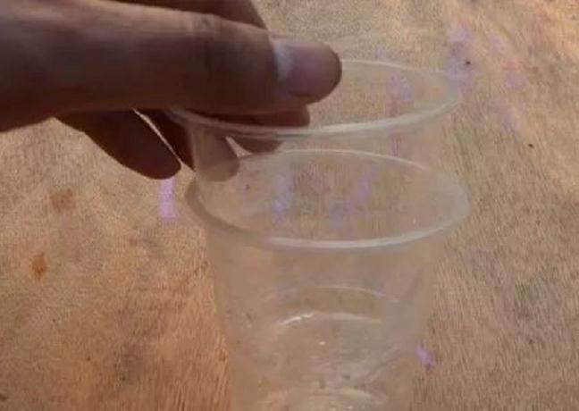 图解 月季盆栽扦插苗的上盆方法 图片