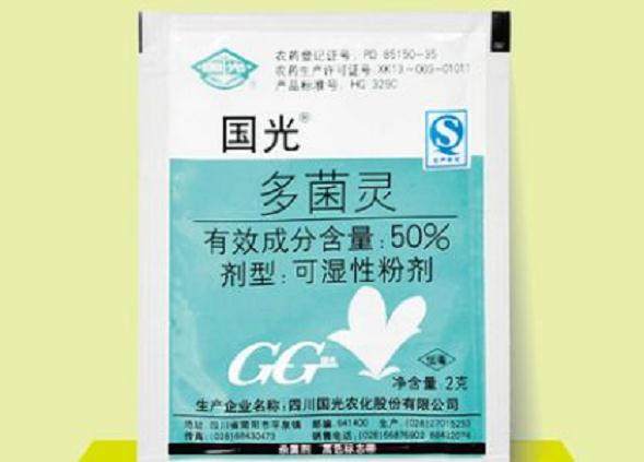 花卉换盆时多1步 花长得越来越壮!