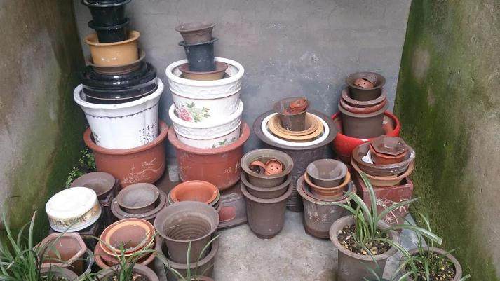 闲置很久的花盆 得杀杀毒 图片