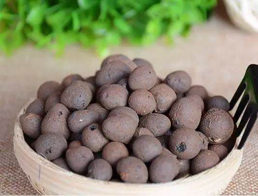 盆栽上盆 盆底铺上这几种东西 再也不用担心烂根