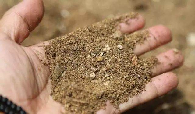 盆栽上盆 盆底铺上这几种东西 再也不用担心烂根